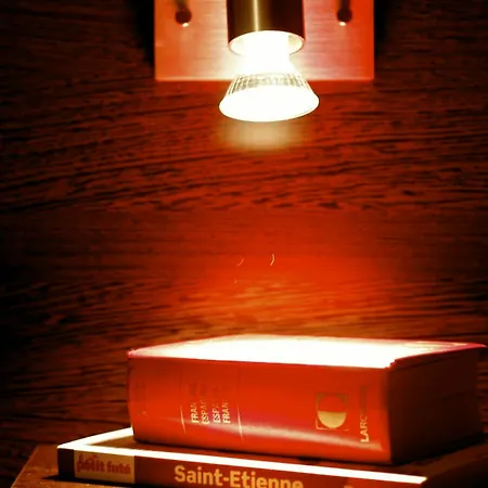 Apartmanhotel Les Palatines Saint-Étienne